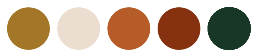 Vijf gekleurde cirkels als kleurenpalet voor een fotoshoot: mosterdgeel, beige, verbrand oranje, roodbruin en donkergroen.